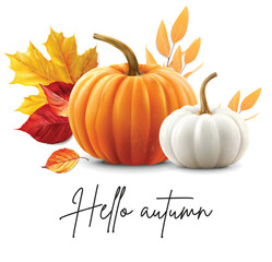 Realistic autumn leaves and pumpkins set isolated background, vector realistic, autumn illustration, hello autumn vector  © ElenaVector44