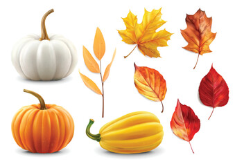 Realistic autumn leaves and pumpkins set isolated background, vector realistic, autumn illustration, hello autumn vector	