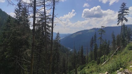 mountains in summer, carpathians, beautiful view of mountains and houses in mountains, countryside