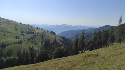 mountains in summer, carpathians, beautiful view of mountains and houses in mountains, countryside