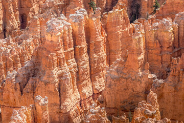 Close up view on the hoodoos in the Bryce Canyon National Park, Utah