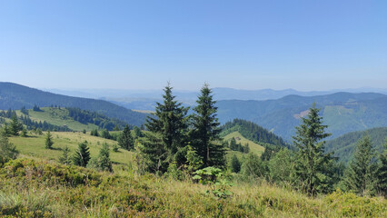 Obraz premium mountains in summer, carpathians, beautiful view of mountains and houses in mountains, countryside