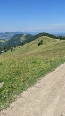 mountains in summer, carpathians, beautiful view of mountains and houses in mountains, countryside