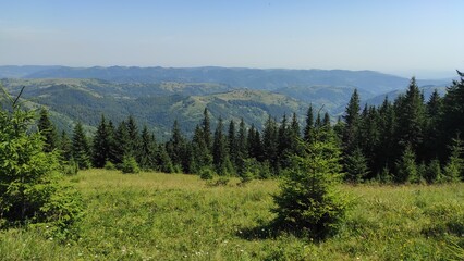 mountains in summer, carpathians, beautiful view of mountains and houses in mountains, countryside