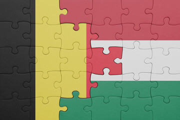 Fototapeta premium puzzle with the colourful national flag of hungary and flag of belgium.