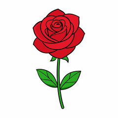 Red rose isolated on white, red rose vector illustration, Red rose plant vector art, Red rose plant silhouette, flowers icon, rose line art, eps