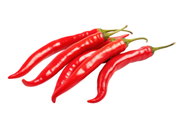 Add some color and spice to your food with these Branch Red Chili Peppers Isolated on White Background.