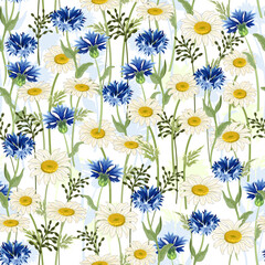 Cornflowers and daisies in a pattern.Vector pattern with cornflowers and daisies on a transparent background.