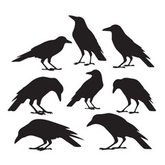 crows silhouette