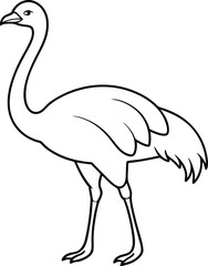 The Ostrich outline or line art silhouette vector illustration with smooth lines white background.