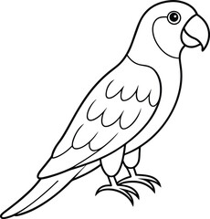 Parrot outline or line art silhouette vector illustration with smooth lines white background.