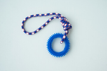 Puppy ring toy for teeth with knot tugger. Best dog toys for training and education, and scratching on white background