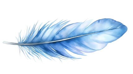 Obraz premium Solitary Watercolor Feather on White Background
