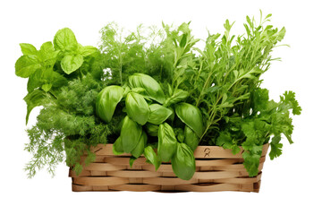 Naklejka premium Vibrant green herbs and spices isolated on white background.