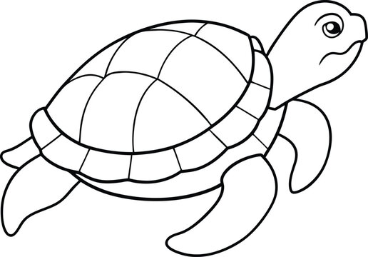 recommend clip art: Turtle outline or line art silhouette vector illustration with smooth lines white background.