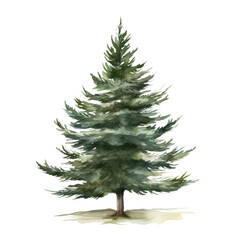 Fototapeta premium christmas tree watercolor isolated on transparent background cutout