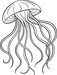 An outline illustration of a jellyfish, with its bell-shaped body and trailing tentacles, drawn with delicate.