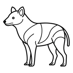illustration of a fox