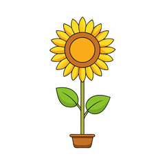 Sunflower isolated on white, sunflower vector illustration, sunflower plant vector art, sunflower plant silhouette, flowers icon, rose line art, eps