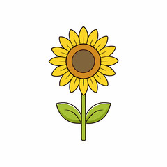 Sunflower isolated on white, sunflower vector illustration, sunflower plant vector art, sunflower plant silhouette, flowers icon, rose line art, eps
