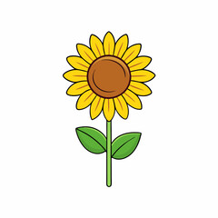 Sunflower isolated on white, sunflower vector illustration, sunflower plant vector art, sunflower plant silhouette, flowers icon, rose line art, eps