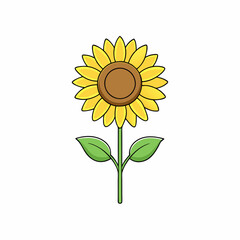 Sunflower isolated on white, sunflower vector illustration, sunflower plant vector art, sunflower plant silhouette, flowers icon, rose line art, eps