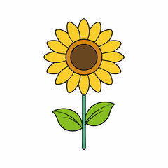 Sunflower isolated on white, sunflower vector illustration, sunflower plant vector art, sunflower plant silhouette, flowers icon, rose line art, eps