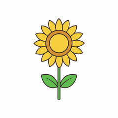 Fototapeta premium Sunflower isolated on white, sunflower vector illustration, sunflower plant vector art, sunflower plant silhouette, flowers icon, rose line art, eps