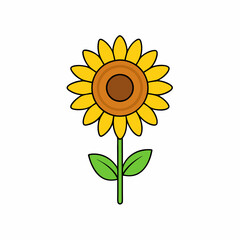 Sunflower isolated on white, sunflower vector illustration, sunflower plant vector art, sunflower plant silhouette, flowers icon, rose line art, eps