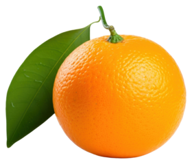 PNG Orange grapefruit plant food.