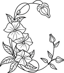 hand drawn flower frame line art illustration