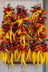 Yellow and red chilli peppers to dry on the wall for a long time
