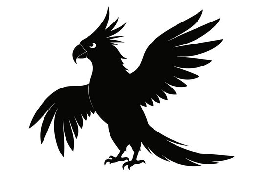 recommend clip art: Palm cockatoo silhouette black color vector art illustration