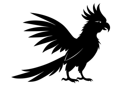 recommend clip art: Palm cockatoo silhouette black color vector art illustration