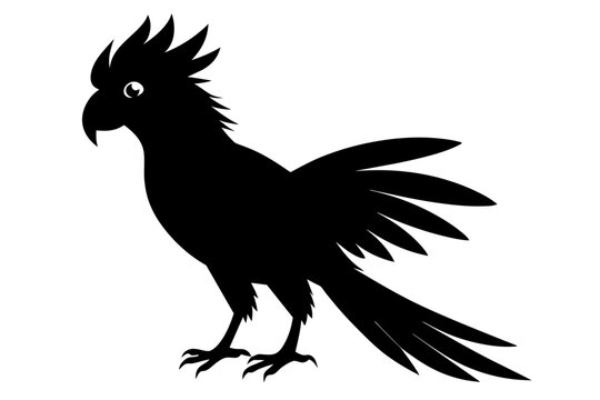 recommend clip art: Palm cockatoo silhouette black color vector art illustration