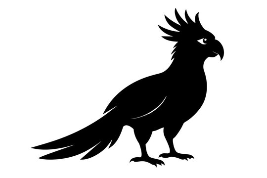 recommend clip art: Palm cockatoo silhouette black color vector art illustration
