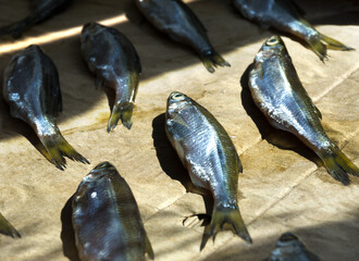 Dried fish on paper. Verkhovodka or Ukleika.