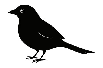 Paradise tanager silhouette black color vector art illustration