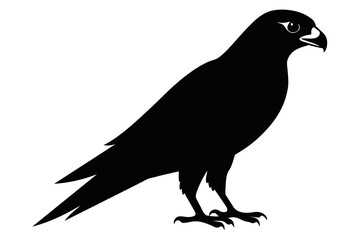 Peregrine falcon bird silhouette black color vector art illustration 