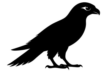 Peregrine falcon bird silhouette black color vector art illustration 