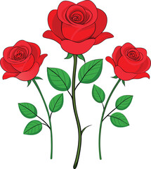 Rose vector illustration graphic Art design.