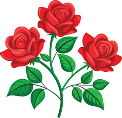 Rose vector illustration graphic Art design.