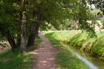 Sendero arbolado junto a la Séquia, un canal medieval del siglo XIV, en Manresa, Catalunya, España, durante la primavera.