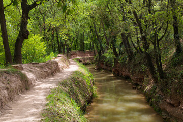 Obraz premium Sendero serpenteante junto a la Séquia, un canal medieval del siglo XIV, en Manresa, Catalunya, España, durante la primavera. El camino de tierra sigue el curso del canal.