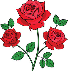 Rose vector illustration graphic Art design.