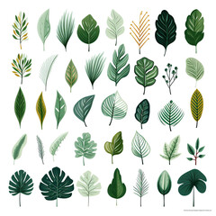 Tropical leaves collection Vector isolated elements