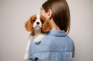 Girl holding cute dog cavalier king charles spaniel puppy on shoulder, hugging him tenderly, before...