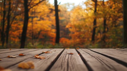 Wooden planks covered with fallen leaves in autumn forest