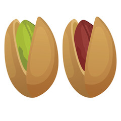 Vector image of pistachios. Concept of nuts. Element for your design. For banners, websites, advertising, etc.