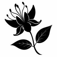 Honeysuckle illustration, Black silhouette